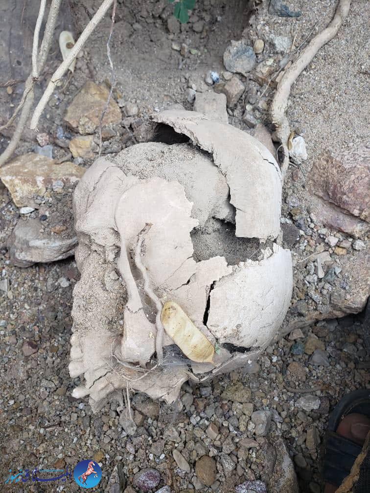 مواطنون قتلهم الحوثي  قبل 13 سنة في حرف سفيان في محافظة عمران2