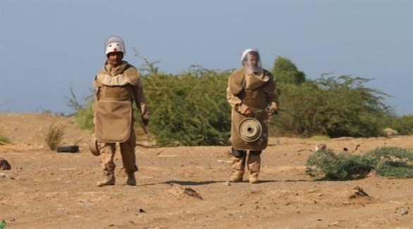 انتزاع 1658 لغما حوثيا خلال شهر نوفمبر