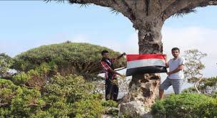سقطرى