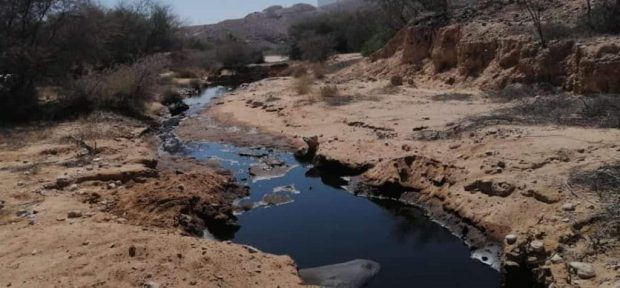 تسرب نفطي