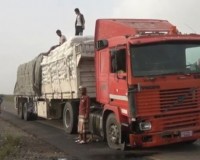 الحديدة