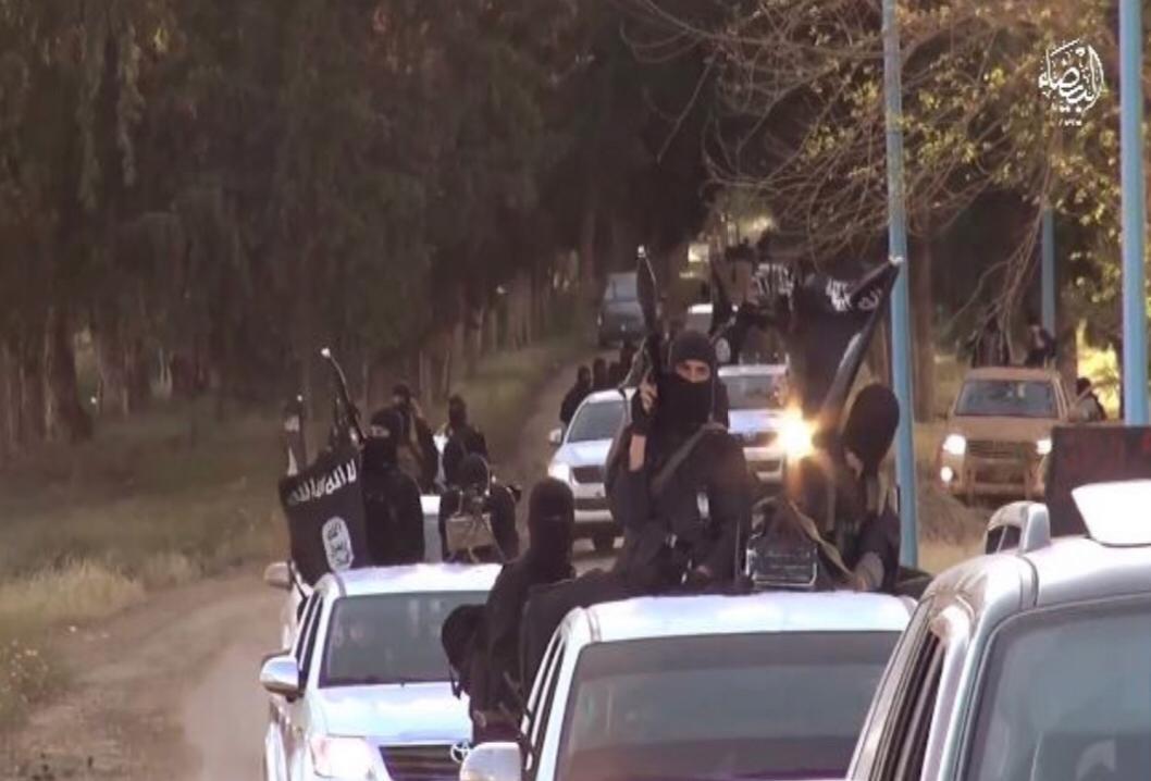 ارشيفية