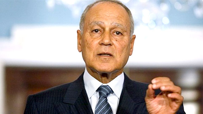 ابو الغيظ يدعو الى تطبيق اتفاق الرياض باسرع وقت