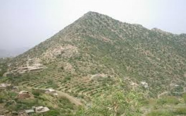 جبهة حيفان تعز تصد هجوم للحوثي