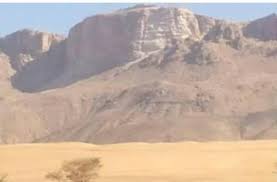 القوات الحكومية تطارد الحوثيين في جبهات مارب