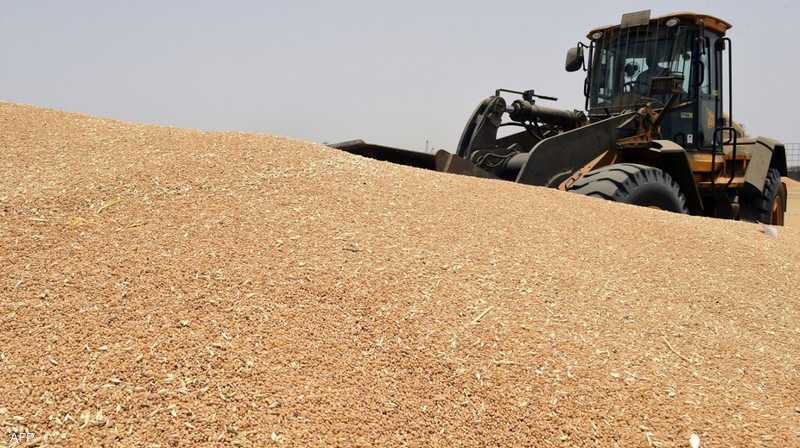 اليمن واستيراد القمح من الهند