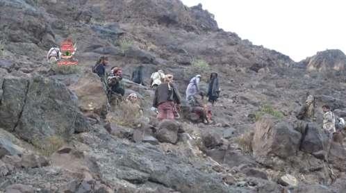 ارشيفية