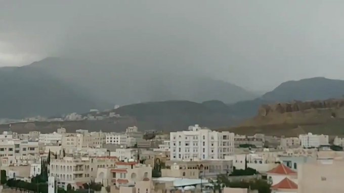 أسرار الجراد تجتاح صنعاء