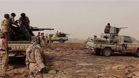 ارشيفية